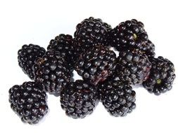 blackberry as a berry