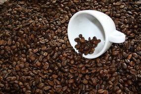Coffee Cup Enjoy