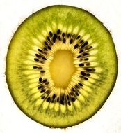 Kiwi Fruits drawing