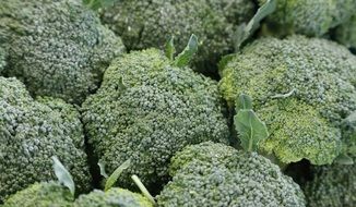 green broccoli flowers