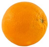 orange on the white background