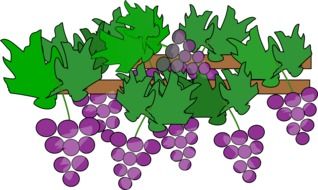 grapes Clip Art drawing