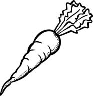 painted white carrot