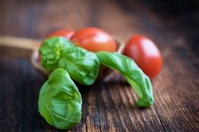 basil and cherry tomatoes