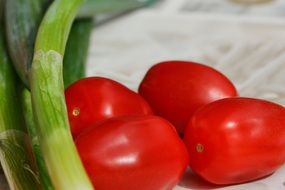 Selective Tomatoes and Spring Onions close