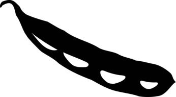 Soybean, black and white drawing