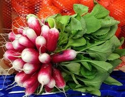 White and pink rudish with the leaves