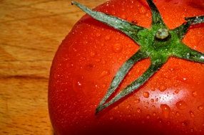 washed tomato close-up