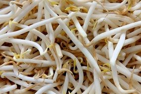 Mung Beans