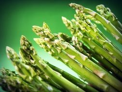 fresh Asparagus close up