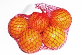 Oranges tropical Fruit Food