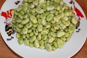 Natural Green Beans