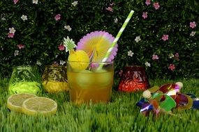 Cocktail for garden party