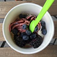 blueberry and blackberry yogurt