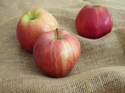 delicious Apple fruits Harvest