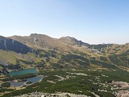 Panorama View of forest on a mountains