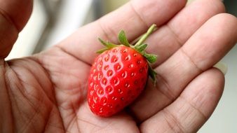 strawberry in man's hand