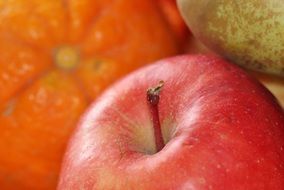 closeup of an apple