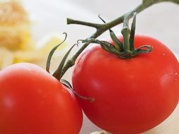 Red Tomatoes close up