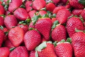 sweet strawberry is summer berry