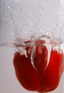 Red paprika pepper in the water