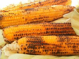 fried corn on the table