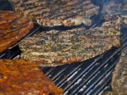 Delicious Barbecue Meat