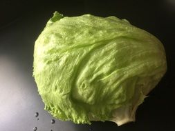 fresh Lettuce Salad closeup