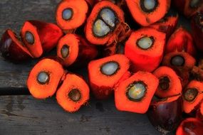 cut fruits of oil palm on wooden surface