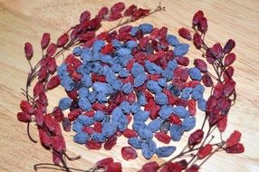 Barberry and Mahonia, dried Berries