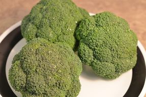 organic Broccoli Vegetables closeup