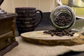 Coffee Seed