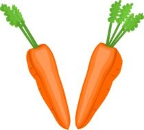 Cut Carrot, illustration