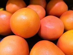 pile of ripe Grapefruits