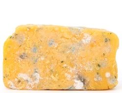 dangerous unhealthy cheese