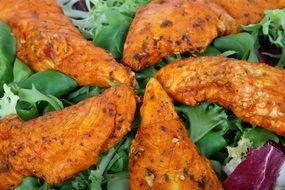 grilled chicken with green