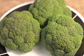 Broccoli Vegetable on plate closeup