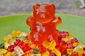 big transparent chewing bear