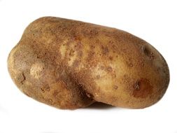 Potato Food