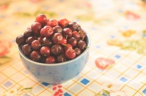 Bowl Acerola