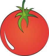 red tomato as picture