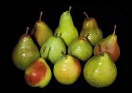 Green ripe sweet delicious healthy pears