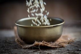 food-photography of rice