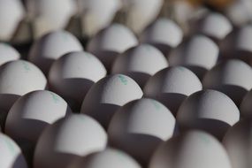 chicken eggs in a box