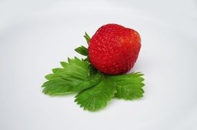 Fresh red strawberry with green leaves