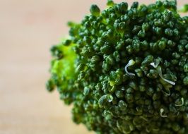   broccoli closeup