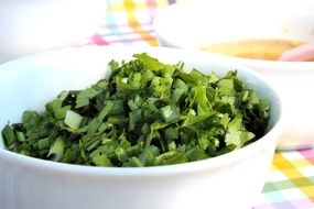 seasoning Coriander