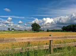 wheat field,Italy