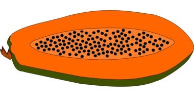 half papaya on a white background