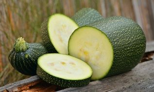 zucchini is a green pumpkin in a garden